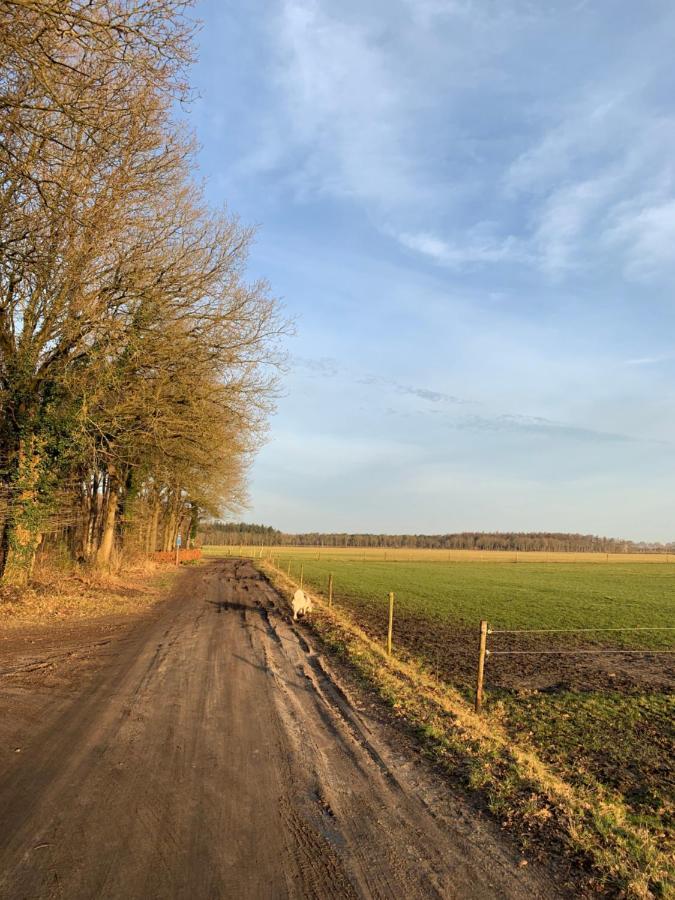 'T Holten Huus - Puur Genieten In Het Bos. Norg Екстер'єр фото