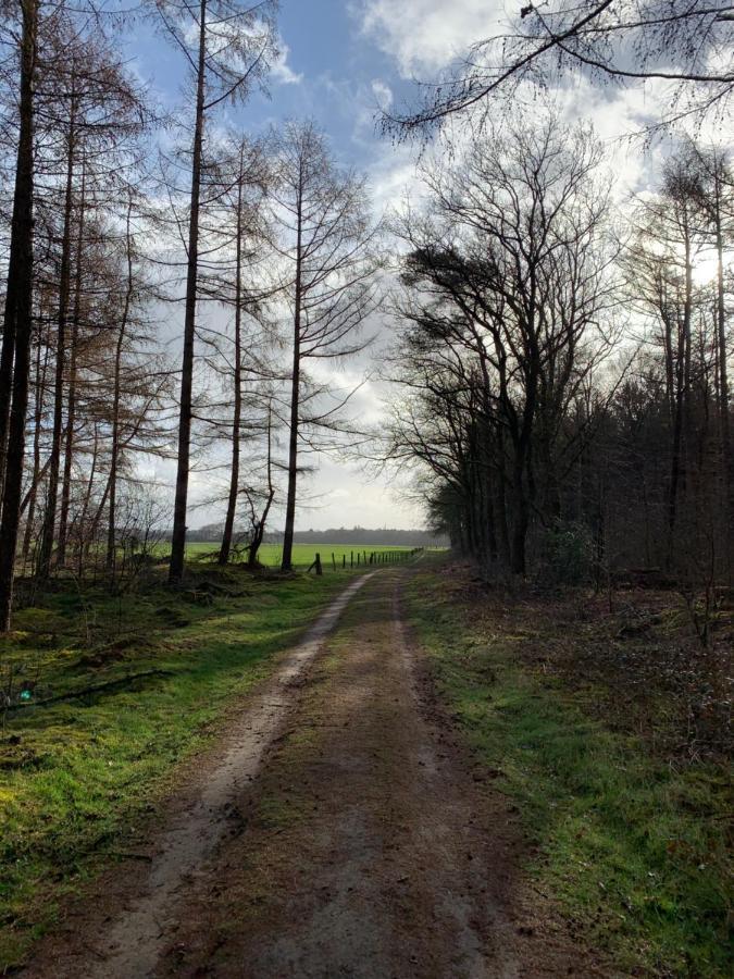 'T Holten Huus - Puur Genieten In Het Bos. Norg Екстер'єр фото