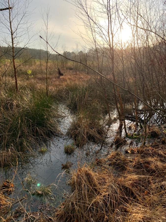 'T Holten Huus - Puur Genieten In Het Bos. Norg Екстер'єр фото